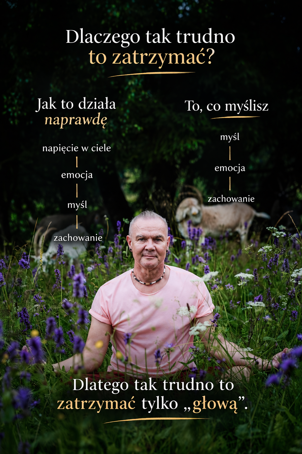 schemat napięcie w ciele emocja myśl zachowanie vs model poznawczy CBT